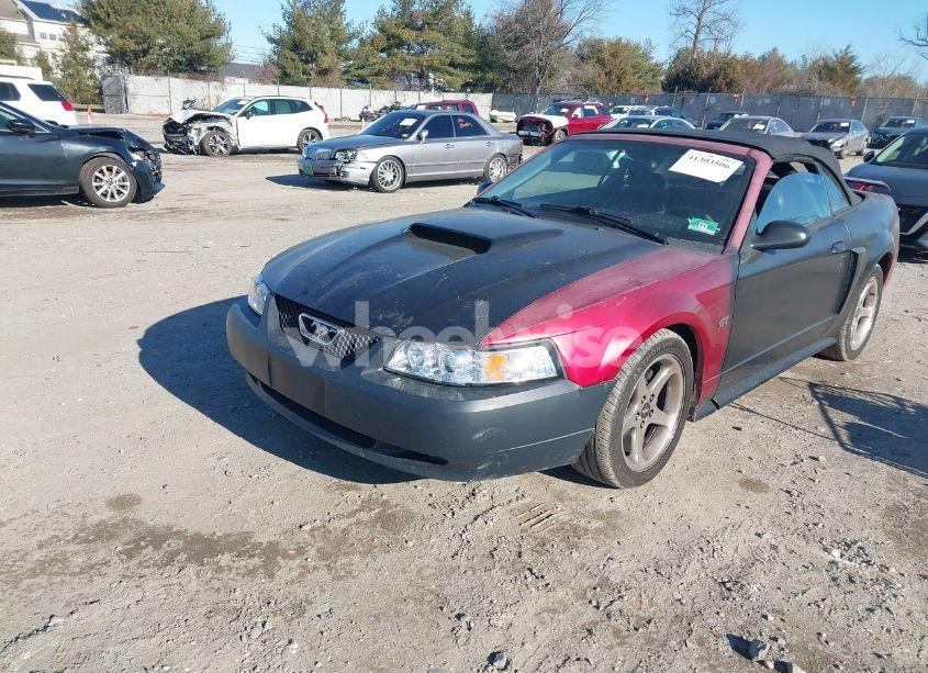 Photo 2 of 2002 Ford Mustang GT (VIN 1FAFP45X22F159563)