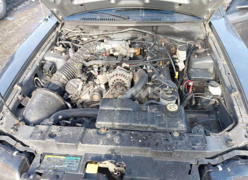 Photo 10 of 2004 Ford Mustang GT (VIN 1FAFP45X24F205816)