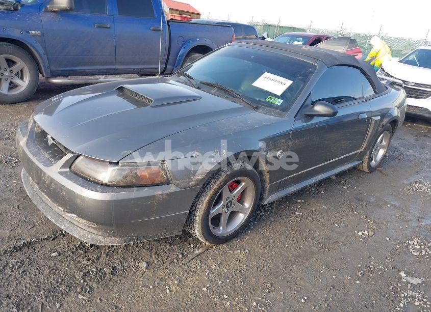 Photo 2 of 2004 Ford Mustang GT (VIN 1FAFP45X24F205816)