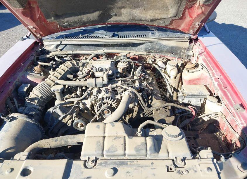 Photo 10 of 2000 Ford Mustang GT (VIN 1FAFP45X4YF154857)