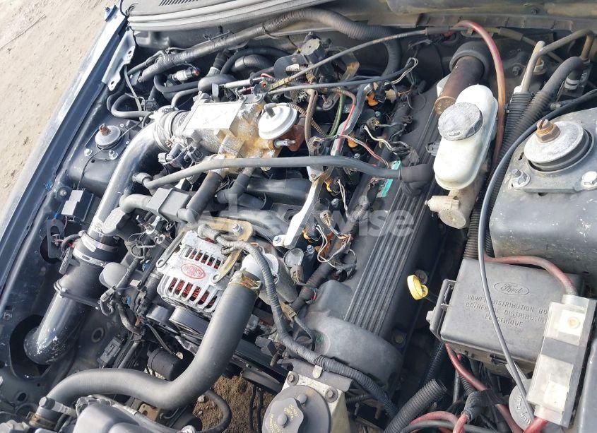 Photo 10 of 2002 Ford Mustang GT (VIN 1FAFP45X52F170766)