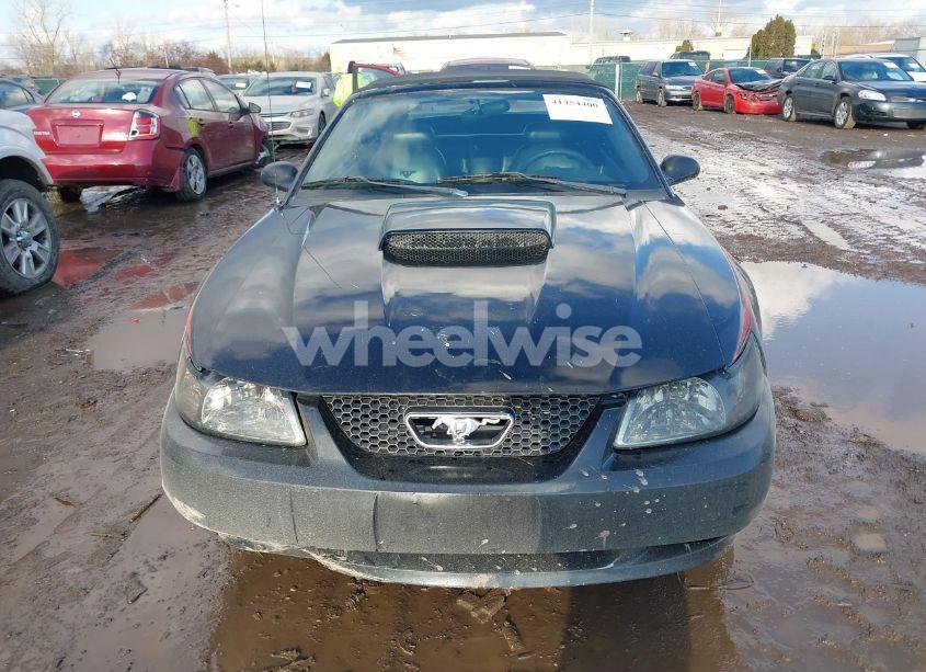 Photo 12 of 2002 Ford Mustang GT (VIN 1FAFP45X52F205242)