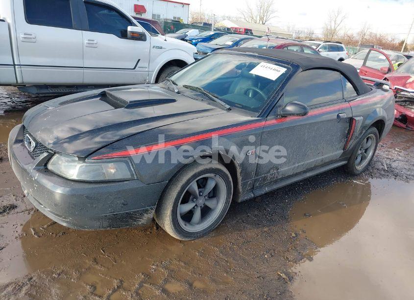 Photo 2 of 2002 Ford Mustang GT (VIN 1FAFP45X52F205242)