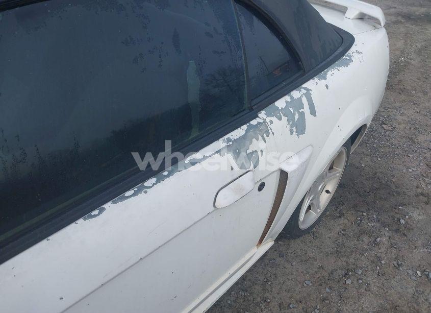 Photo 6 of 2002 Ford Mustang GT (VIN 1FAFP45X52F232022)