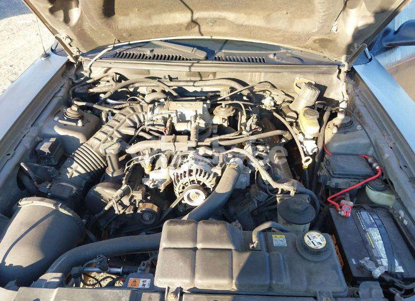 Photo 10 of 2001 Ford Mustang GT (VIN 1FAFP45X61F236708)