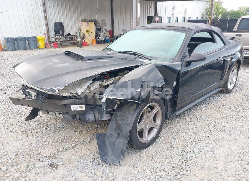 Photo 2 of 2004 Ford Mustang GT (VIN 1FAFP45X64F104911)