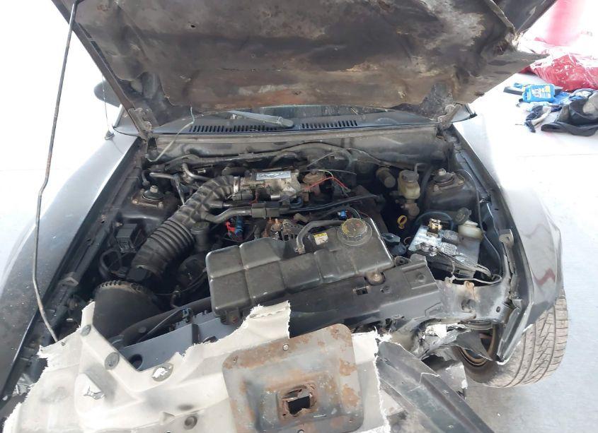 Photo 10 of 2003 Ford Mustang GT (VIN 1FAFP45X73F343351)