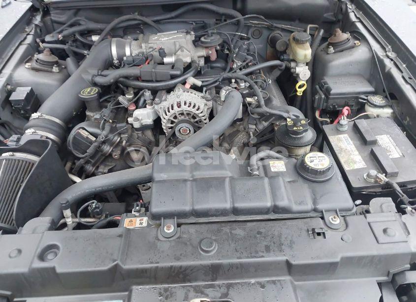 Photo 10 of 2004 Ford Mustang GT (VIN 1FAFP45X74F128442)