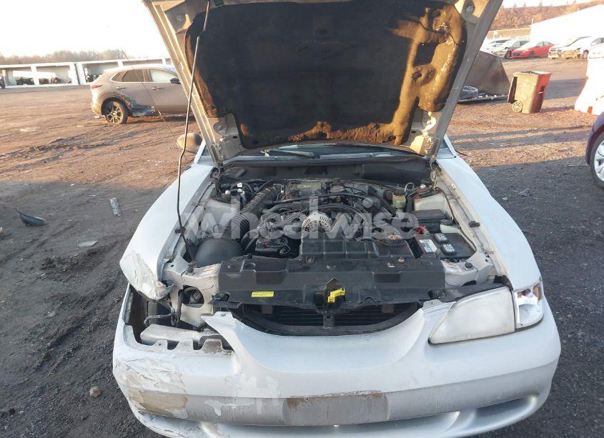 Photo 10 of 1998 Ford Mustang GT (VIN 1FAFP45X7WF244534)