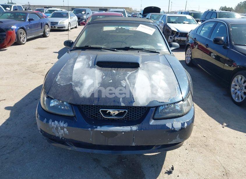 Photo 6 of 2001 Ford Mustang GT (VIN 1FAFP45X81F225371)