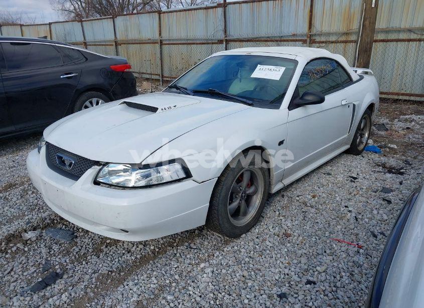 Photo 2 of 2003 Ford Mustang GT (VIN 1FAFP45X93F336532)