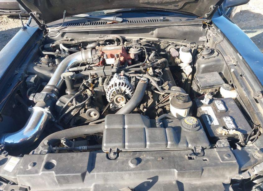 Photo 10 of 2000 Ford Mustang GT (VIN 1FAFP45X9YF218858)