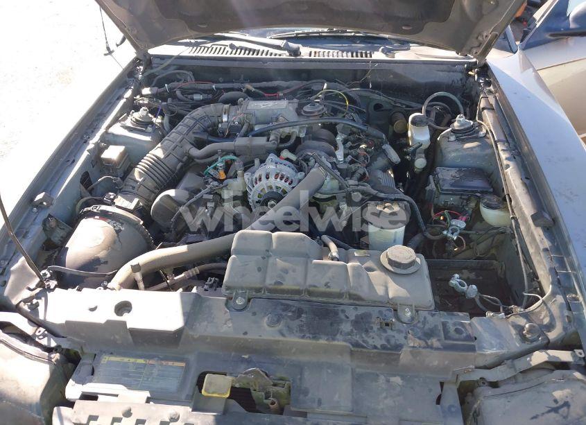 Photo 10 of 2001 Ford Mustang GT (VIN 1FAFP45XX1F204750)