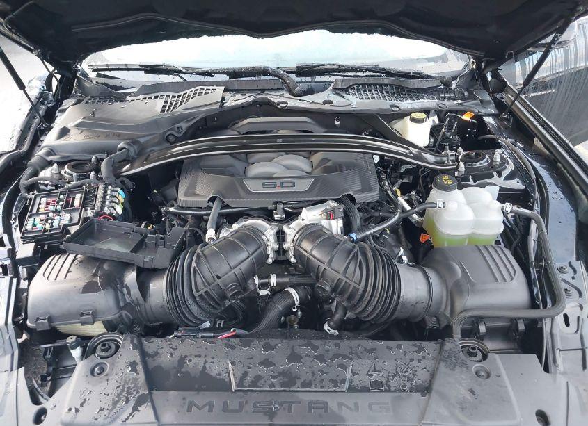Photo 10 of 2024 Ford Mustang GT PREMIUM (VIN 1FAGP8FF0R5109035)