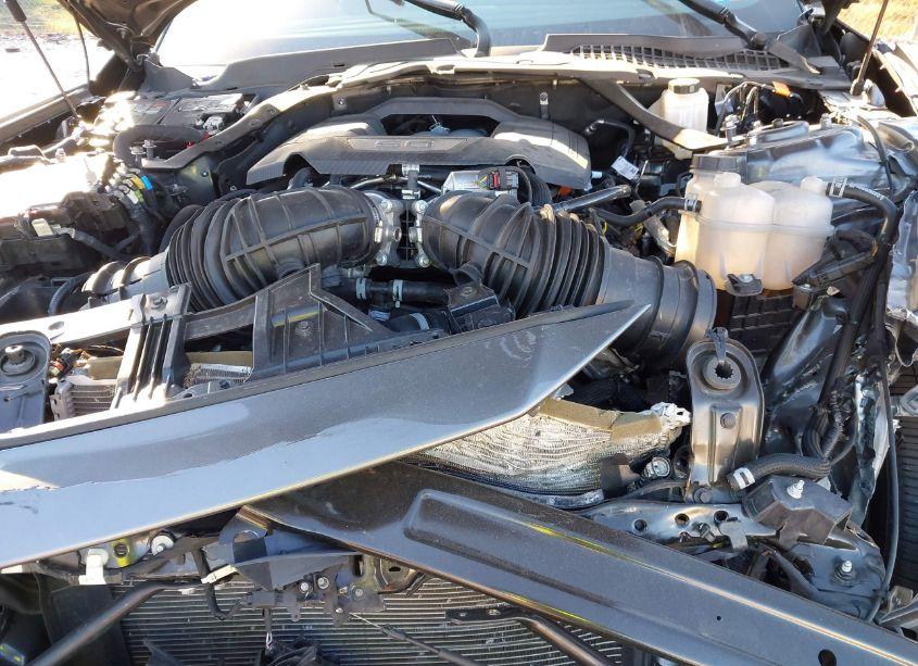 Photo 10 of 2024 Ford Mustang GT PREMIUM (VIN 1FAGP8FF9R5125301)