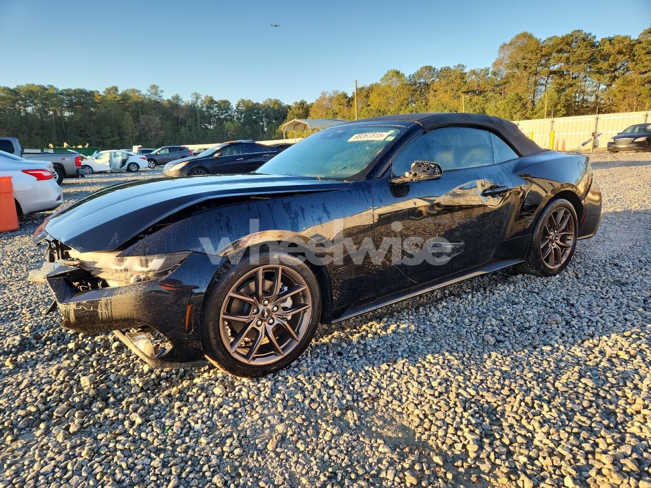 2024 FORD MUSTANG (VIN 1FAGP8UH1R5109114) main photo