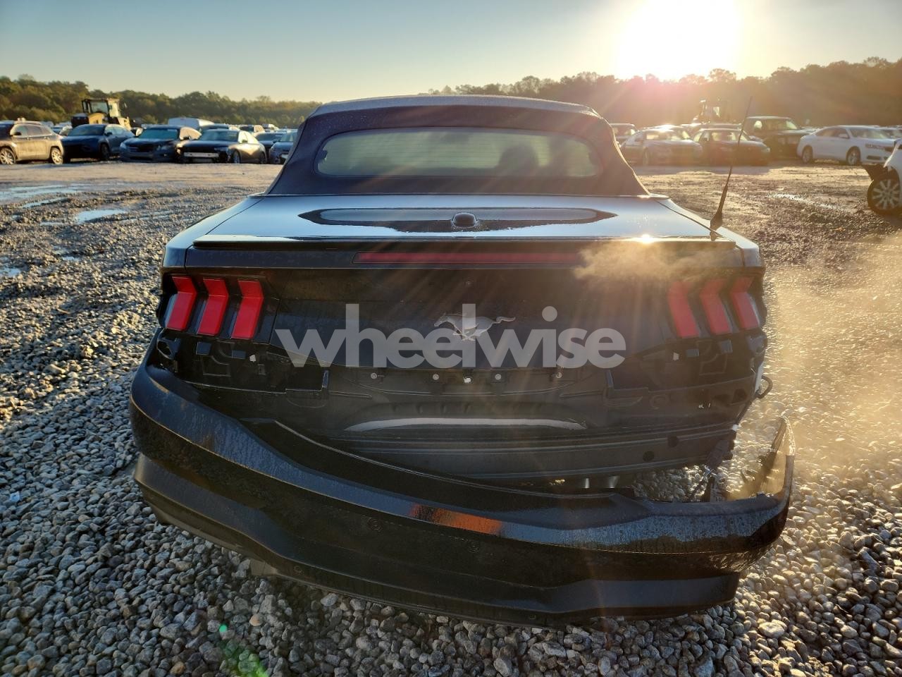 Photo 6 of 2024 FORD MUSTANG (VIN 1FAGP8UH1R5109114)