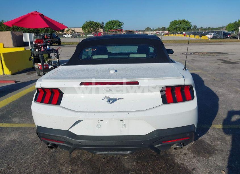 Photo 16 of 2024 Ford Mustang ECOBOOST PREMIUM (VIN 1FAGP8UH1R5114314)