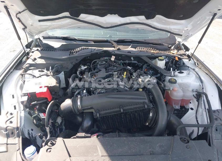 Photo 10 of 2024 Ford Mustang ECOBOOST PREMIUM (VIN 1FAGP8UH1R5124762)
