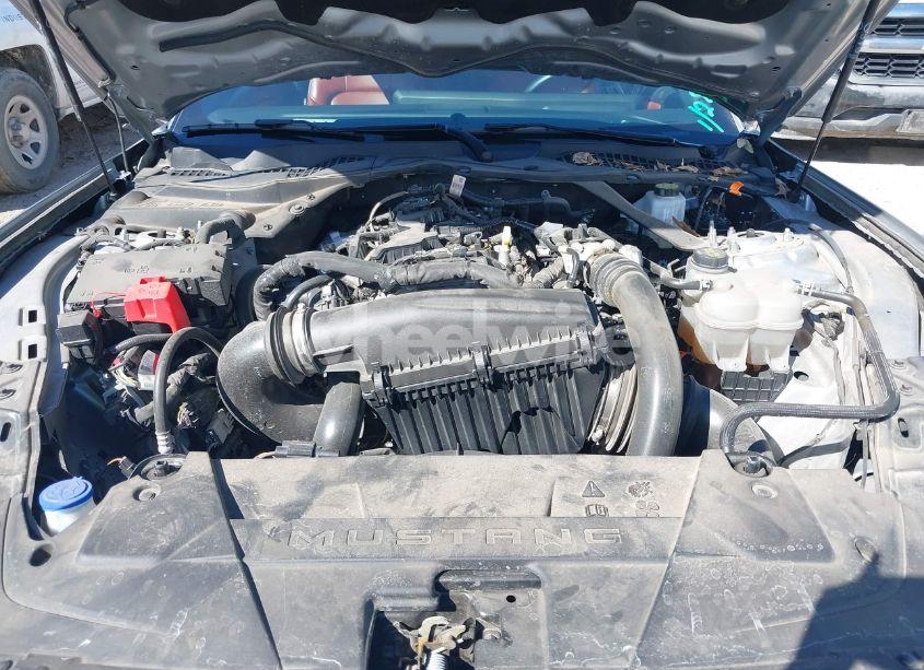 Photo 10 of 2024 Ford Mustang ECOBOOST PREMIUM (VIN 1FAGP8UH2R5112944)