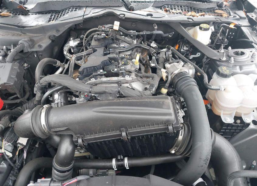 Photo 10 of 2024 Ford Mustang ECOBOOST PREMIUM (VIN 1FAGP8UH2R5124415)