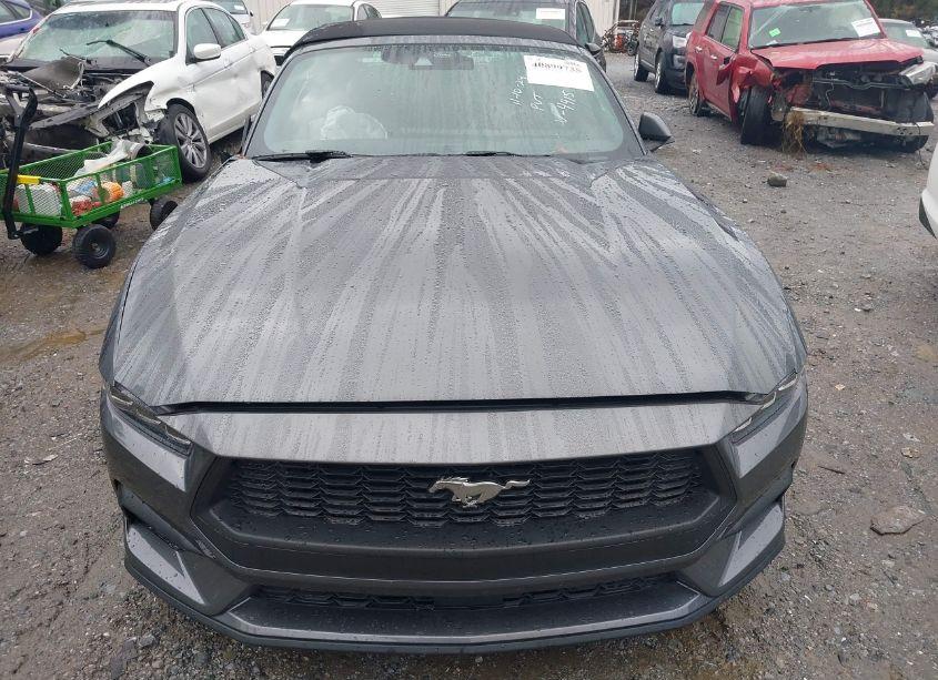 Photo 12 of 2024 Ford Mustang ECOBOOST PREMIUM (VIN 1FAGP8UH2R5124415)