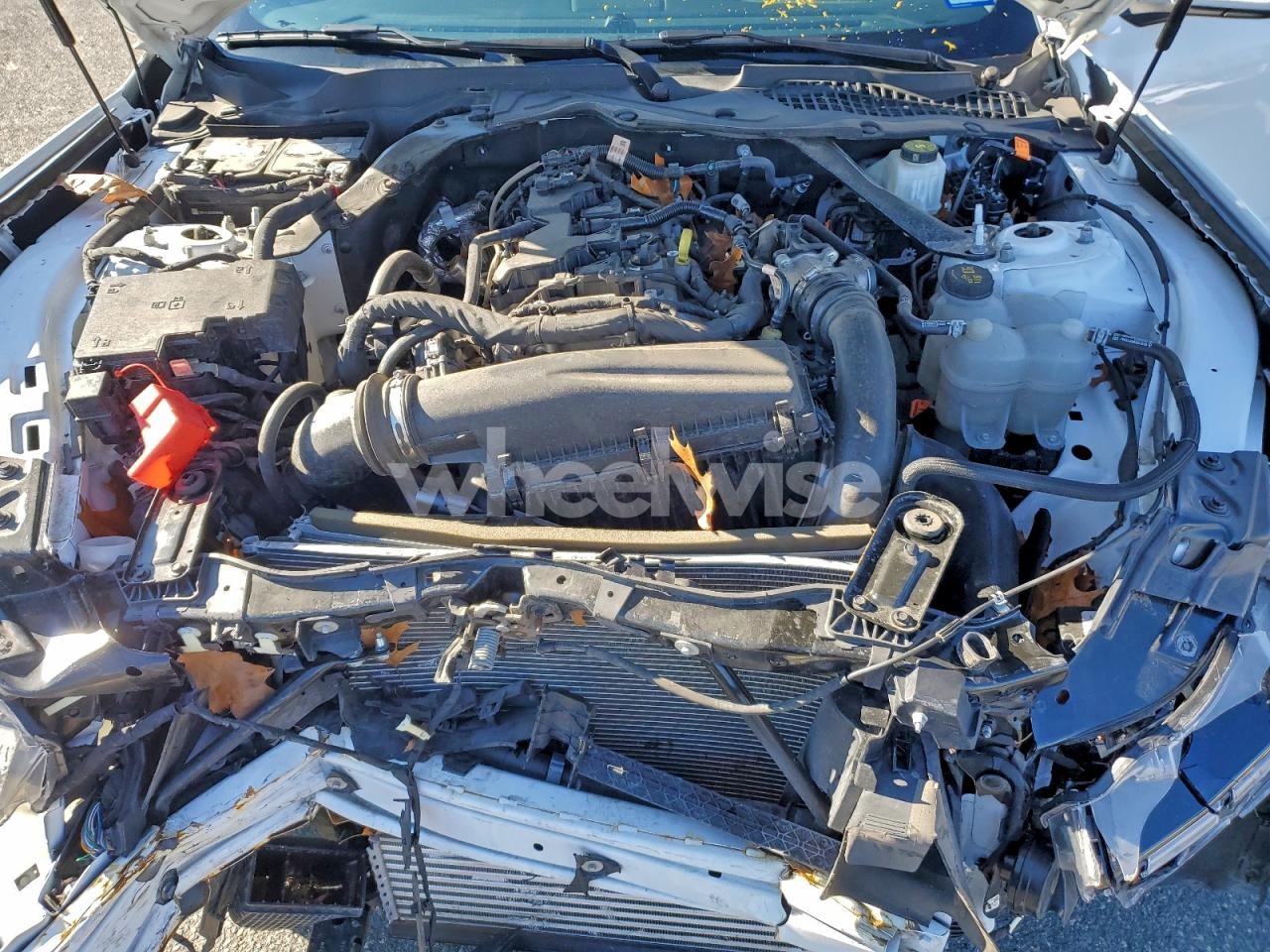 Photo 11 of 2024 FORD MUSTANG (VIN 1FAGP8UH2R5130411)