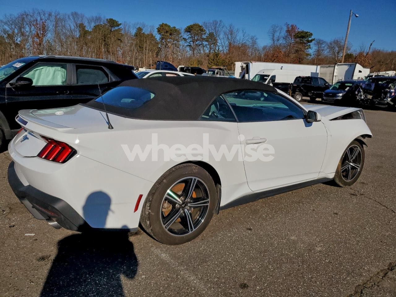 Photo 3 of 2024 FORD MUSTANG (VIN 1FAGP8UH2R5130411)
