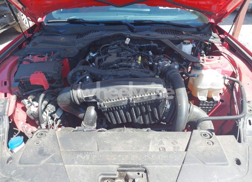 Photo 10 of 2024 Ford Mustang ECOBOOST PREMIUM (VIN 1FAGP8UH2R5130814)
