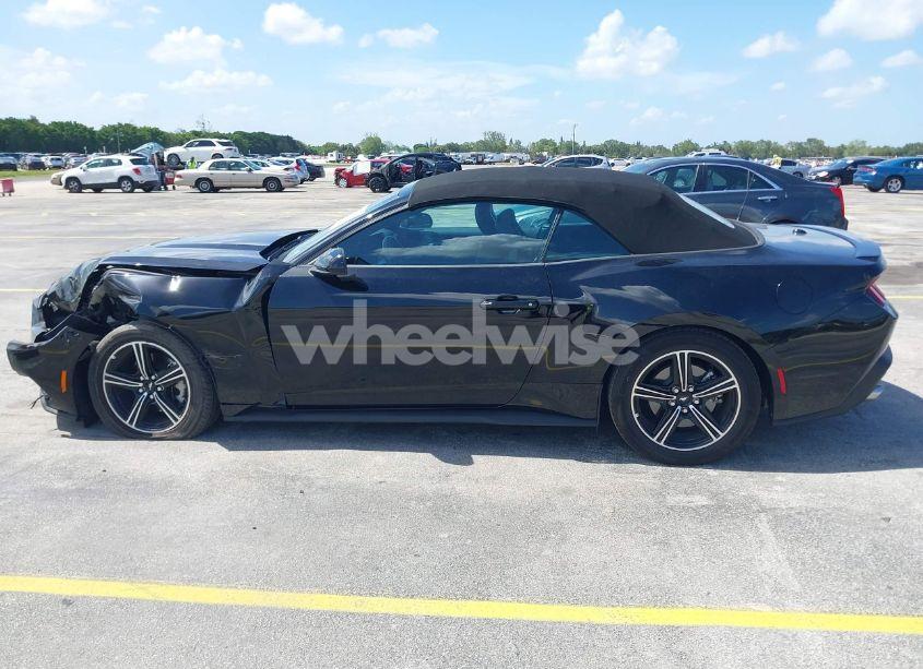 Photo 14 of 2025 Ford Mustang ECOBOOST PREMIUM (VIN 1FAGP8UH2S5105661)