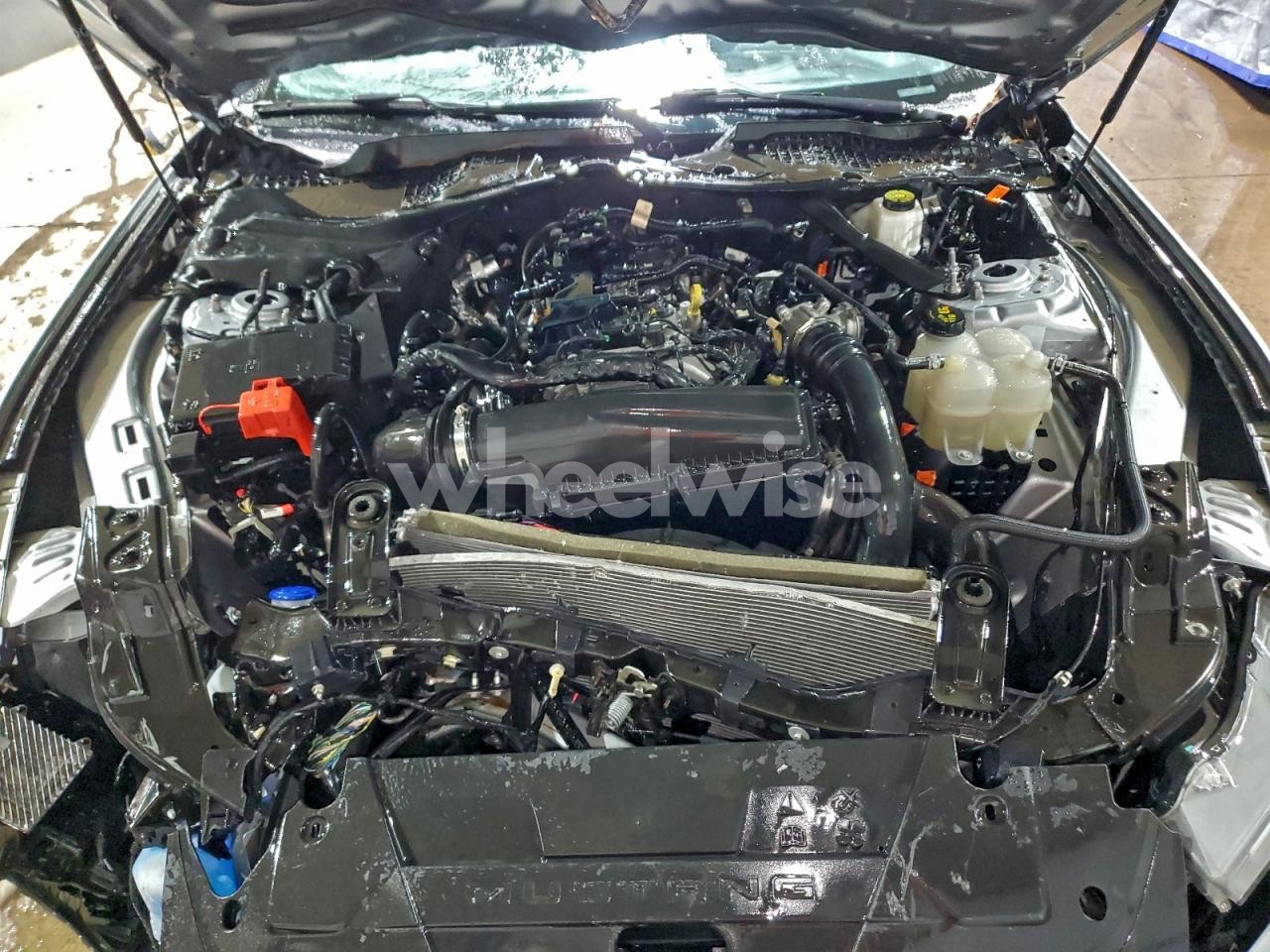 Photo 11 of 2024 FORD MUSTANG (VIN 1FAGP8UH3R5120079)