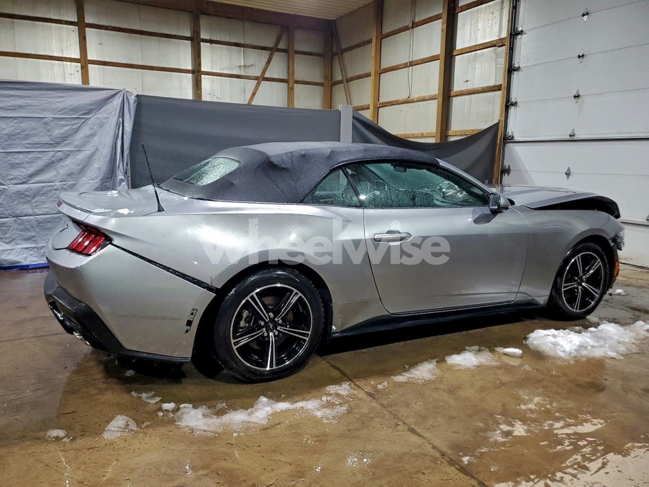 Photo 3 of 2024 FORD MUSTANG (VIN 1FAGP8UH3R5120079)