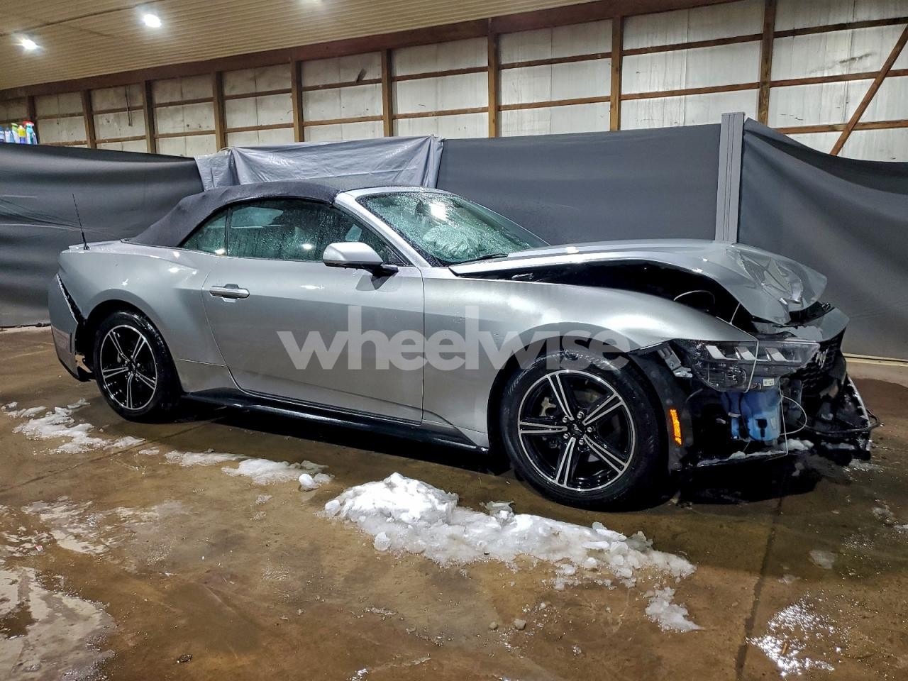 Photo 4 of 2024 FORD MUSTANG (VIN 1FAGP8UH3R5120079)