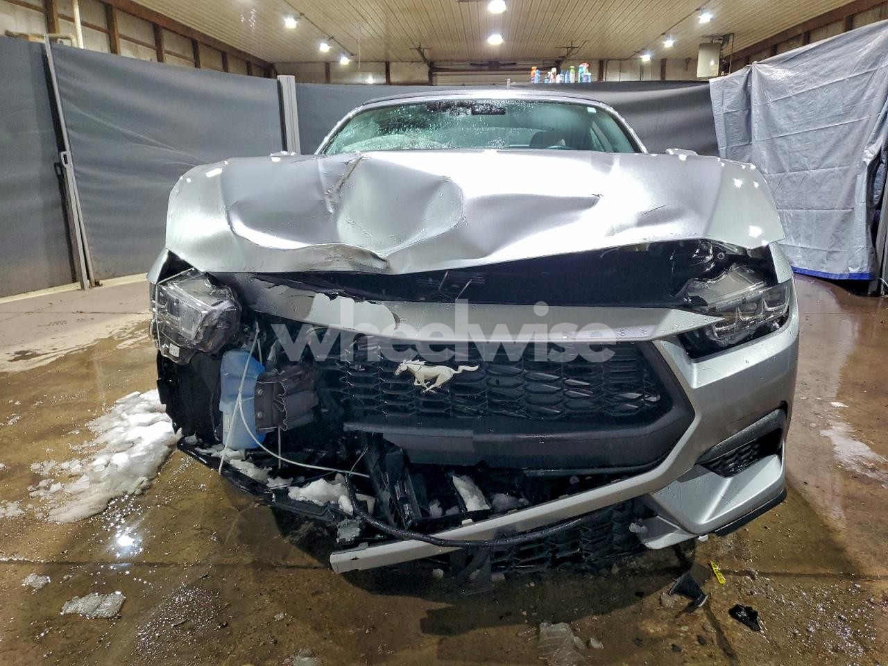 Photo 5 of 2024 FORD MUSTANG (VIN 1FAGP8UH3R5120079)