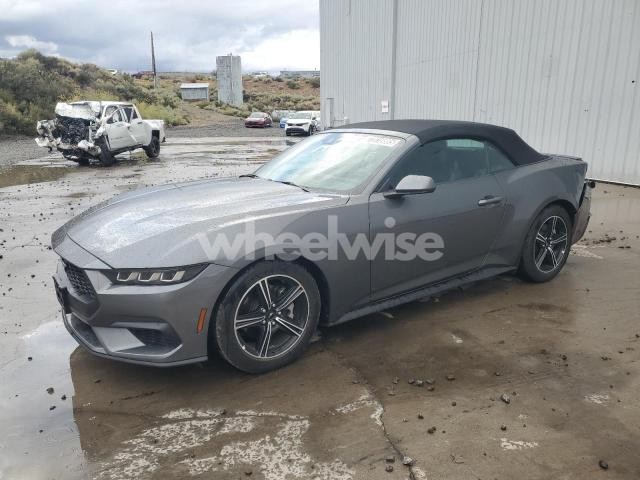 Photo 10 of 2025 FORD MUSTANG (VIN 1FAGP8UH3S5105684)