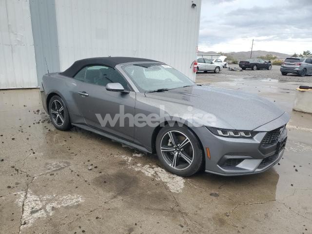 Photo 5 of 2025 FORD MUSTANG (VIN 1FAGP8UH3S5105684)