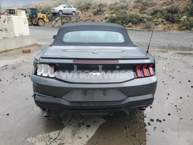 Photo 7 of 2025 FORD MUSTANG (VIN 1FAGP8UH3S5105684)