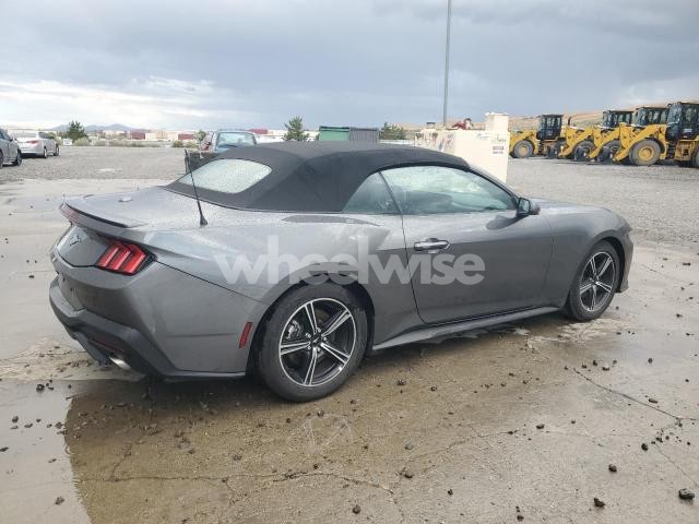 Photo 9 of 2025 FORD MUSTANG (VIN 1FAGP8UH3S5105684)