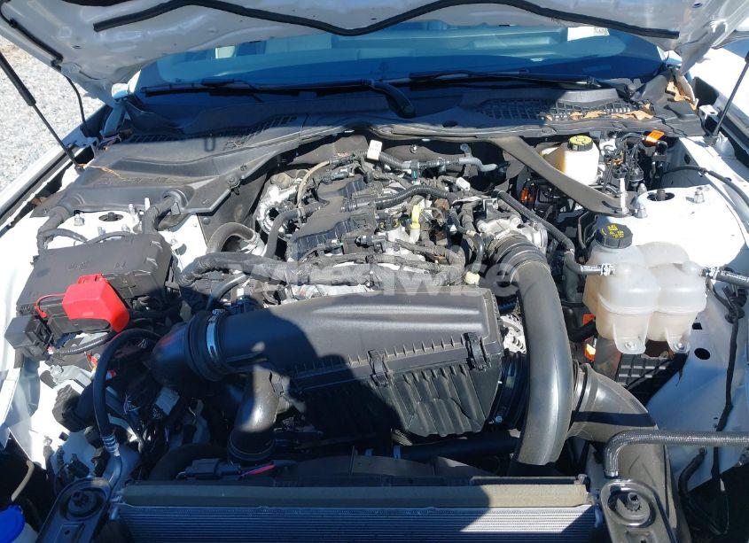 Photo 10 of 2024 Ford Mustang ECOBOOST PREMIUM (VIN 1FAGP8UH4R5130507)