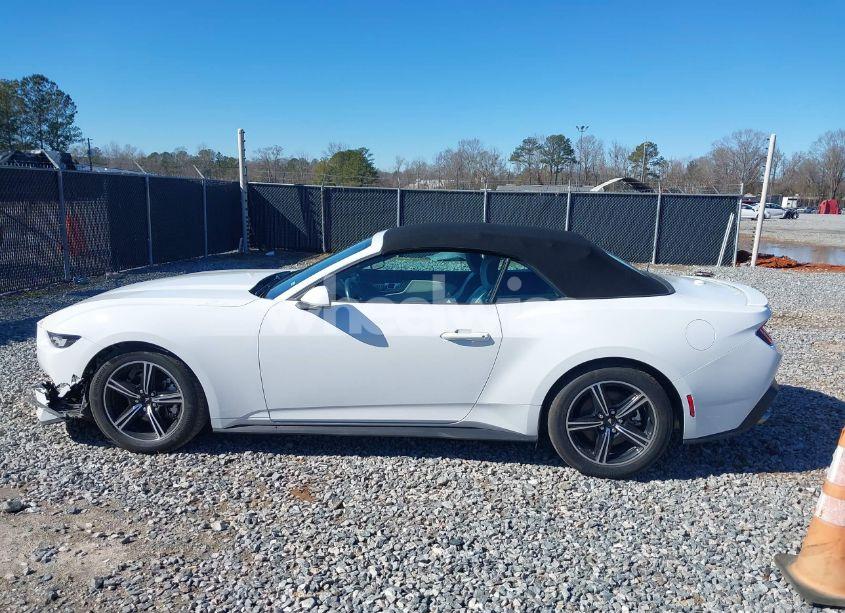 Photo 15 of 2024 Ford Mustang ECOBOOST PREMIUM (VIN 1FAGP8UH4R5130507)