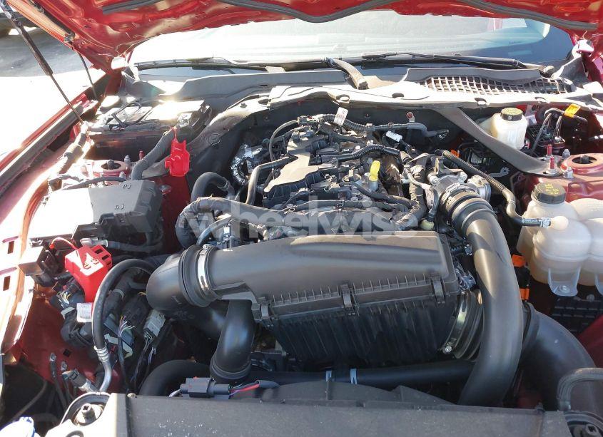 Photo 10 of 2024 Ford Mustang ECOBOOST (VIN 1FAGP8UH4R5136744)