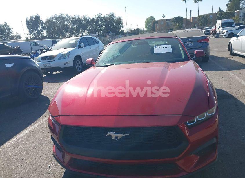 Photo 12 of 2024 Ford Mustang ECOBOOST (VIN 1FAGP8UH4R5136744)