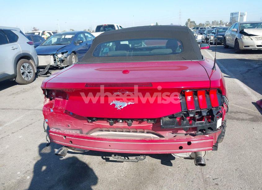 Photo 16 of 2024 Ford Mustang ECOBOOST (VIN 1FAGP8UH4R5136744)