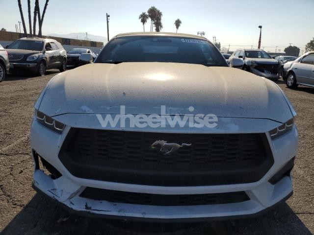 2024 FORD MUSTANG (VIN 1FAGP8UH5R5118172) main photo