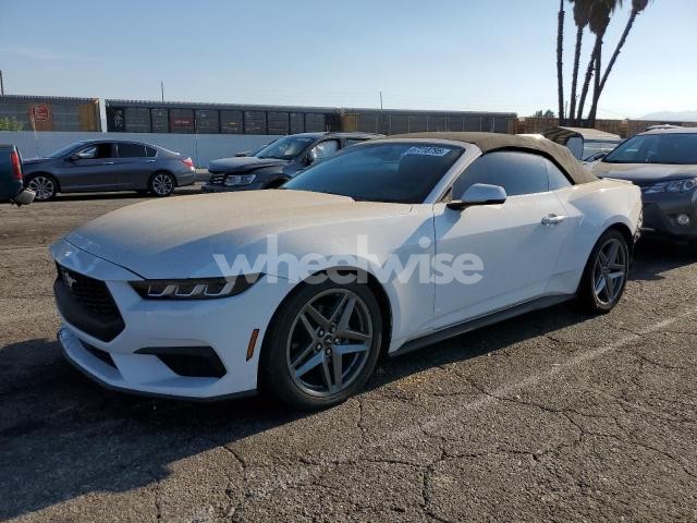Photo 12 of 2024 FORD MUSTANG (VIN 1FAGP8UH5R5118172)