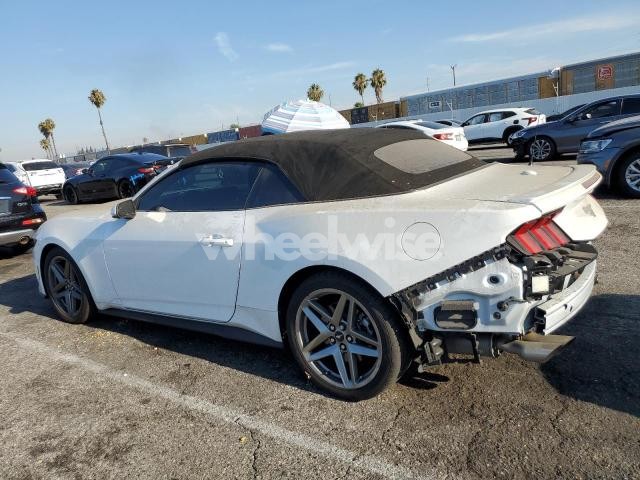 Photo 3 of 2024 FORD MUSTANG (VIN 1FAGP8UH5R5118172)