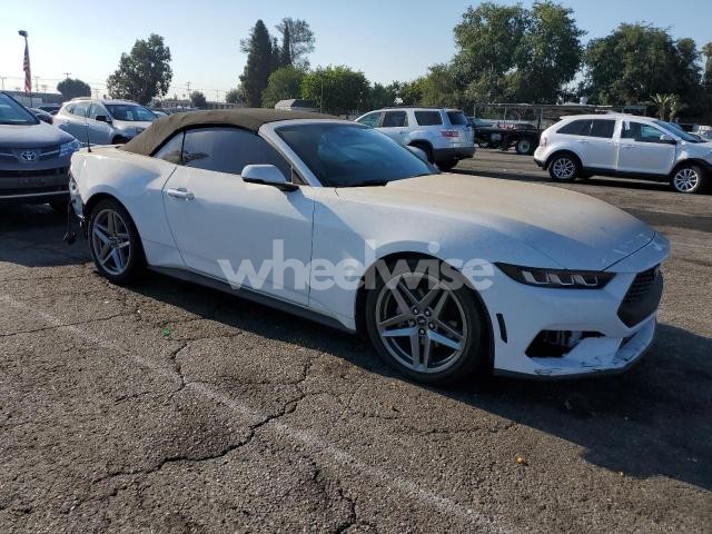 Photo 8 of 2024 FORD MUSTANG (VIN 1FAGP8UH5R5118172)