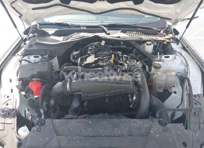 Photo 10 of 2024 Ford Mustang ECOBOOST PREMIUM (VIN 1FAGP8UH5R5119922)