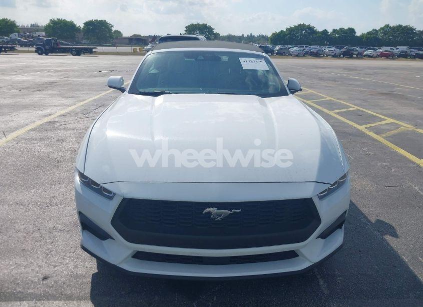 Photo 6 of 2024 Ford Mustang ECOBOOST PREMIUM (VIN 1FAGP8UH5R5119922)