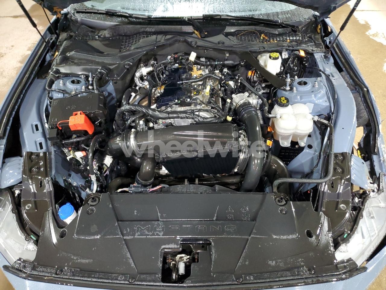 Photo 11 of 2024 FORD MUSTANG (VIN 1FAGP8UH5R5127616)